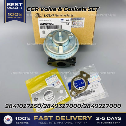 Genuine EGR Valve & Gaskets SET 2841027250 for Hyundai Santa Fe Kia Sportage