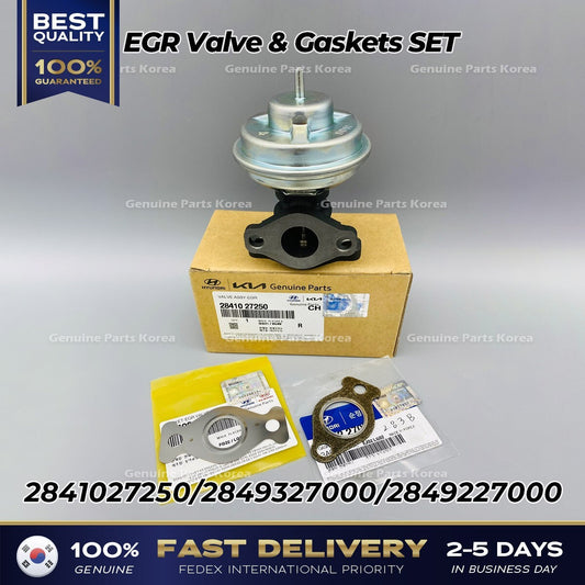 Genuine EGR Valve & Gaskets SET 2841027250 for Hyundai Santa Fe Kia Sportage