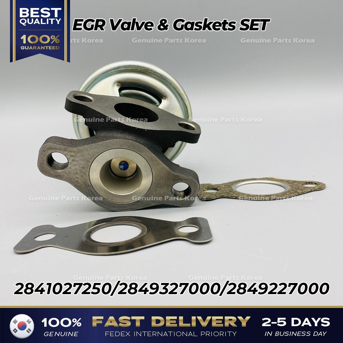Genuine EGR Valve & Gaskets SET 2841027250 for Hyundai Santa Fe Kia Sportage