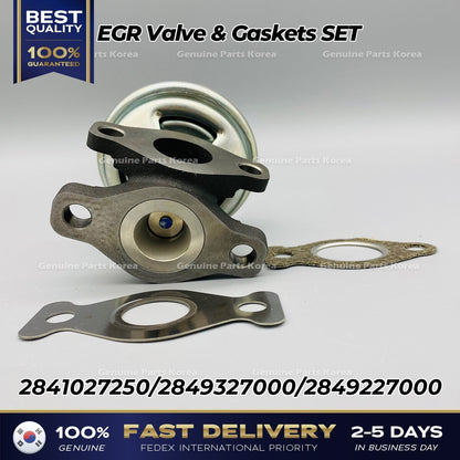 Genuine EGR Valve & Gaskets SET 2841027250 for Hyundai Santa Fe Kia Sportage