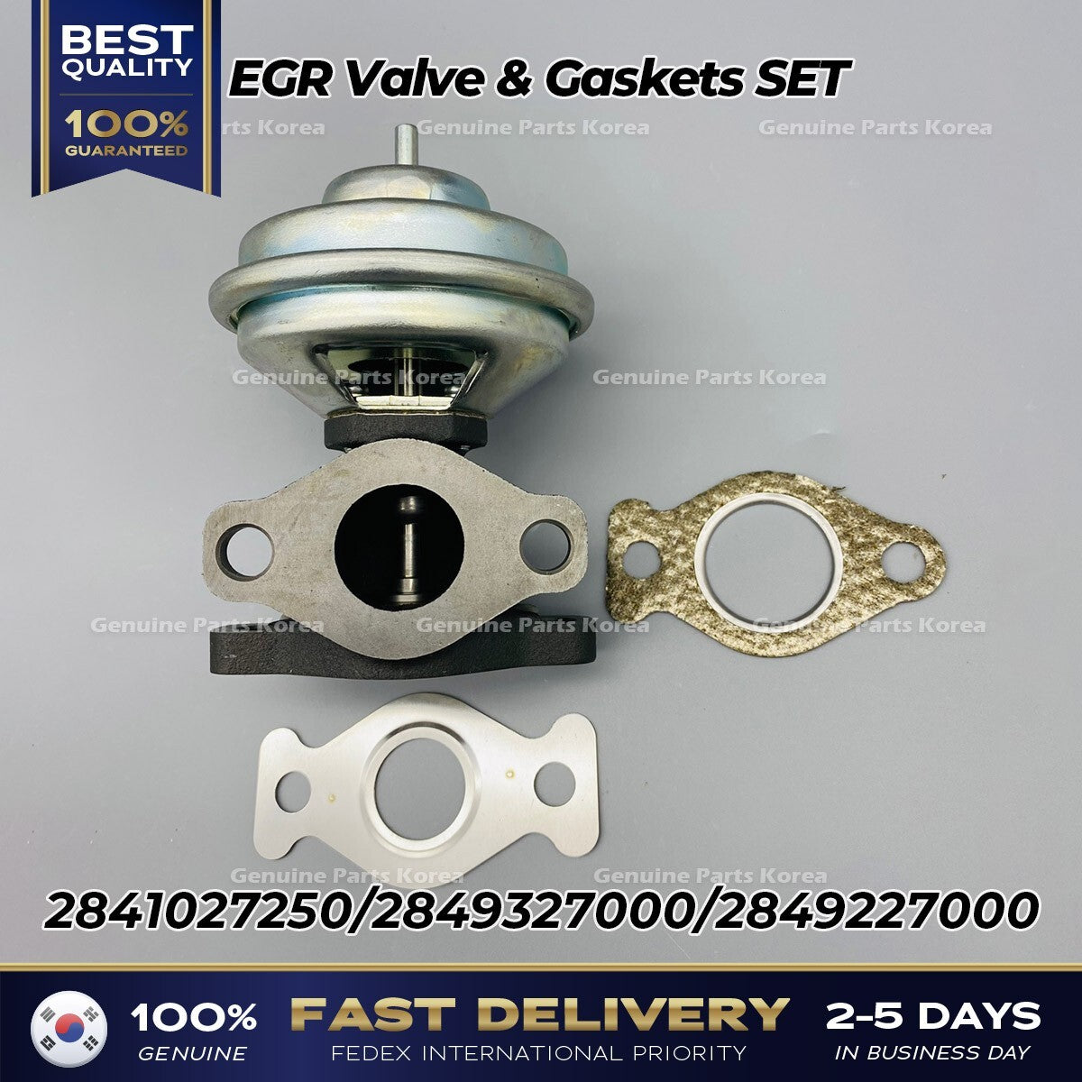 Genuine EGR Valve & Gaskets SET 2841027250 for Hyundai Santa Fe Kia Sportage