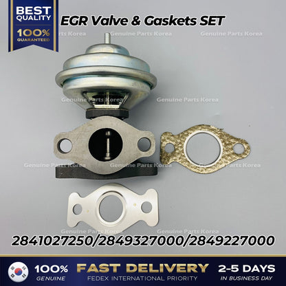 Genuine EGR Valve & Gaskets SET 2841027250 for Hyundai Santa Fe Kia Sportage