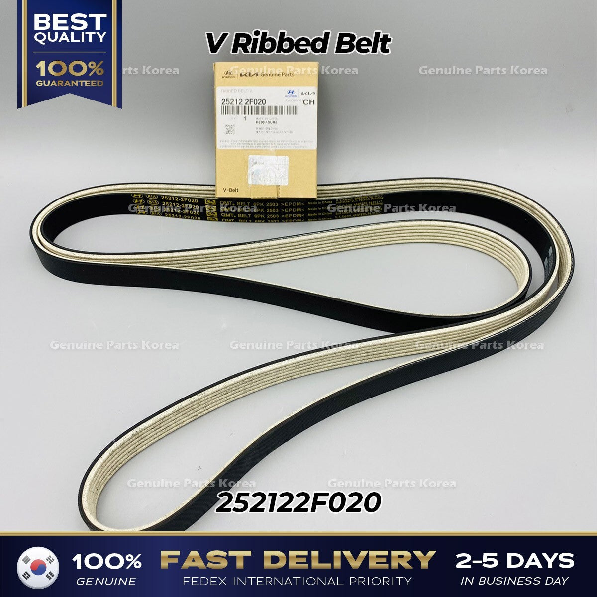 Genuine V Ribbed Belt 252122F020 for Hyundai Tuscon Kia Sportage
