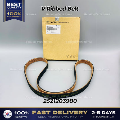 Genuine V Ribbed Belt 2521203980 for Hyundai Accent Kia Rio