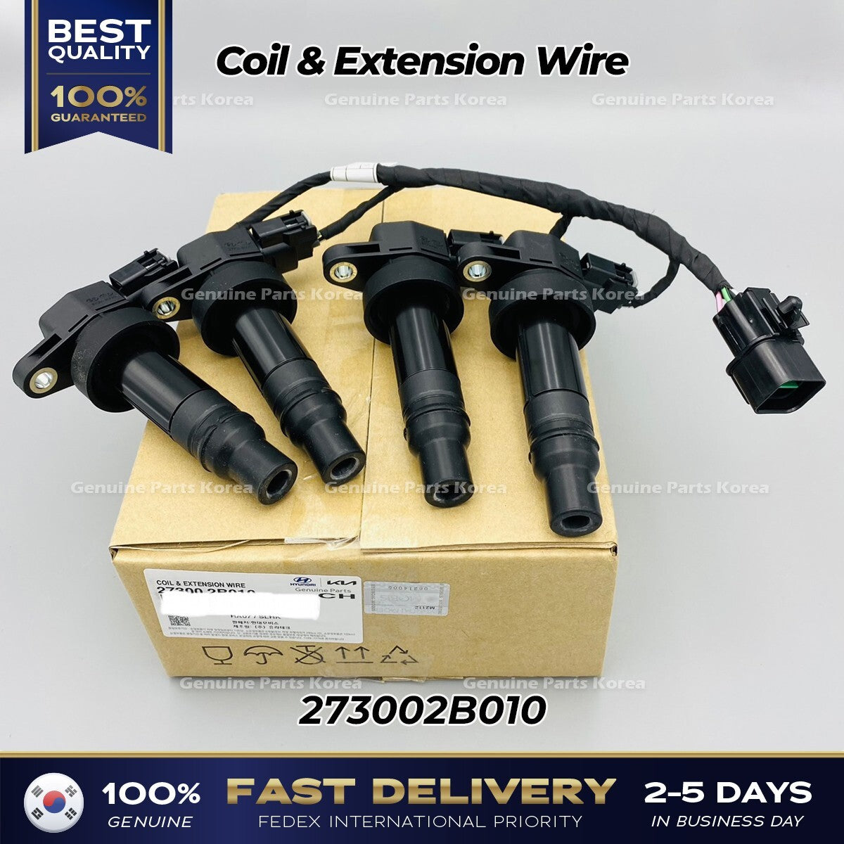 Genuine Coil & Extension Wire 273002B010 for Hyundai Accnet Kia Rio