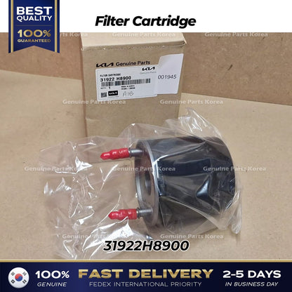 Genuine Filter Cartridge 31922H8900 for Kia Niro Hybrid