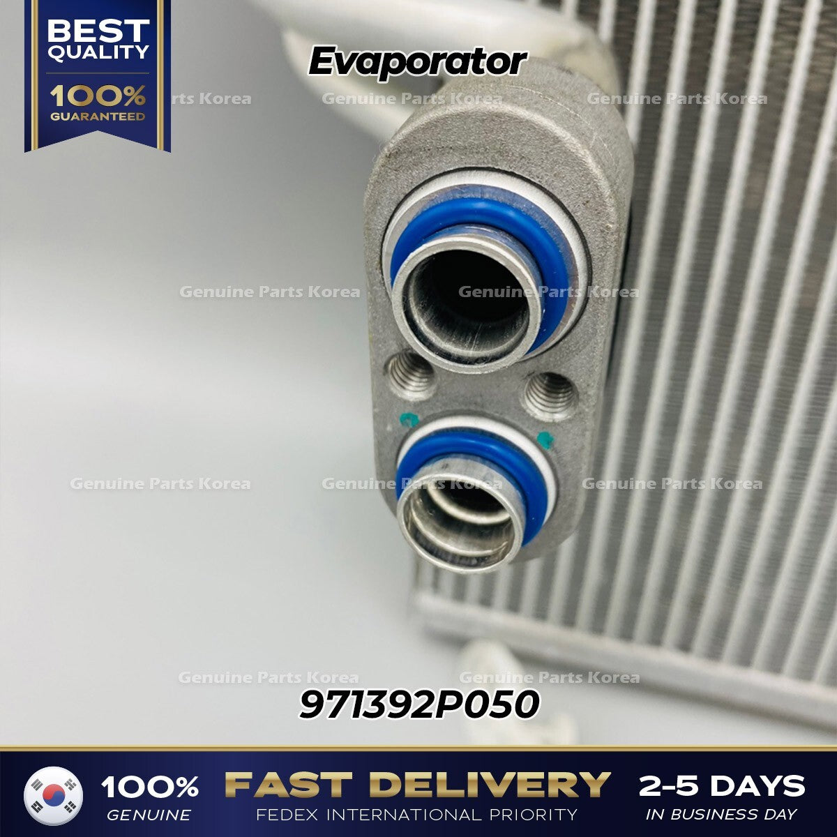 Genuine Evaporator 971392P050 for Kia Sorento