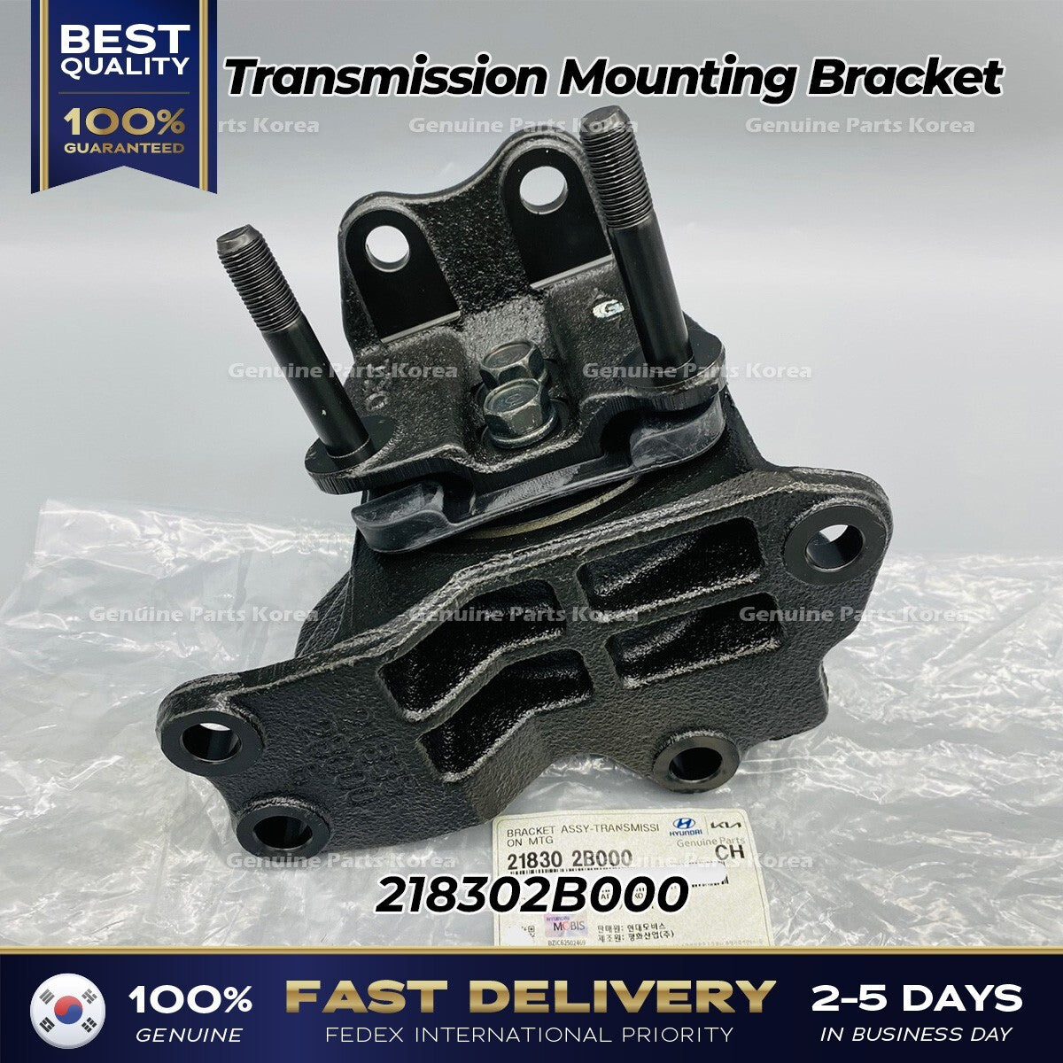 Genuine Transmission Mounting Bracket 218302B000 for Hyundai Santa Fe