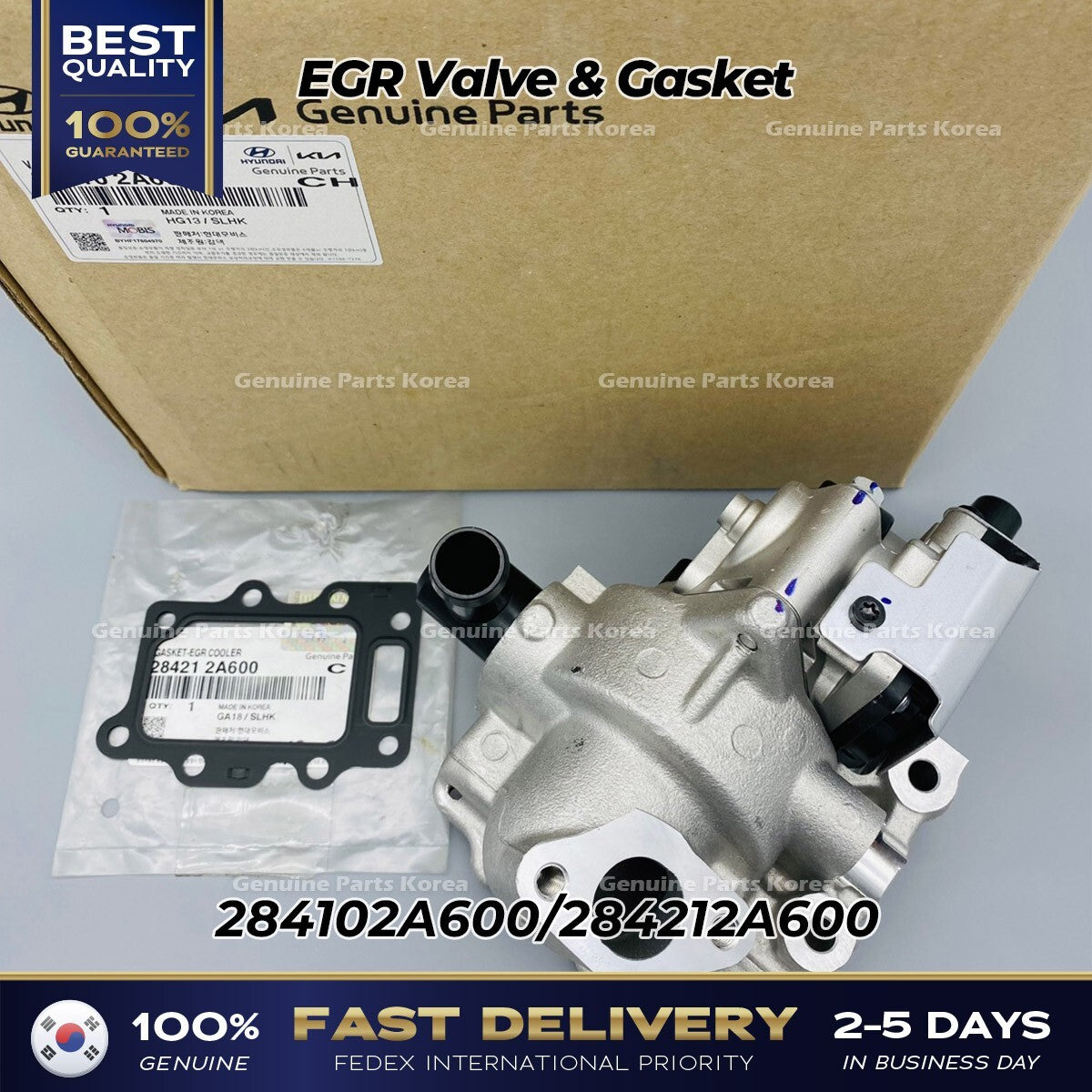 Genuine EGR Valve & Gasket 284102A600 for Hyundai Accent