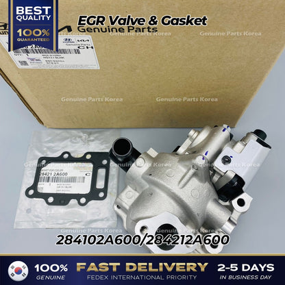 Genuine EGR Valve & Gasket 284102A600 for Hyundai Accent