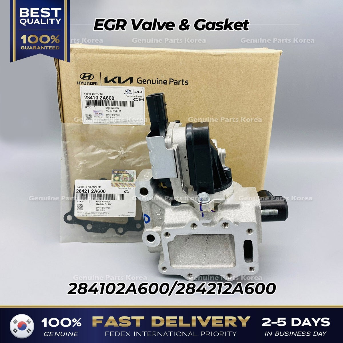 Genuine EGR Valve & Gasket 284102A600 for Hyundai Accent