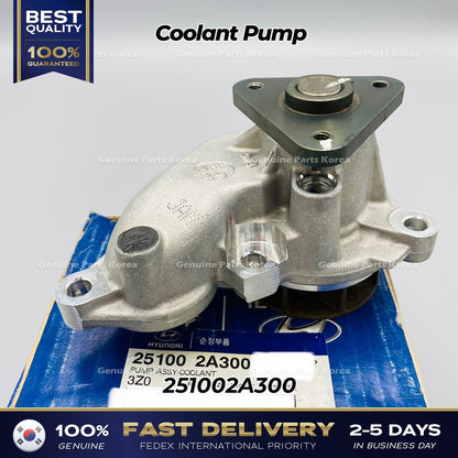 Genuine Coolant Pump 251002A300 for Hyundai Accent Kia Carens