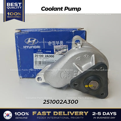 Genuine Coolant Pump 251002A300 for Hyundai Accent Kia Carens
