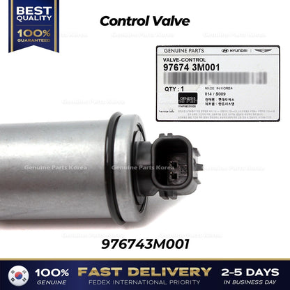 Genuine Control Valve 976743M001 for Hyundai Accent Kia Cadenza