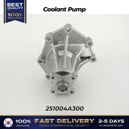 Genuine Coolant Pump 251004A300 for Hyundai H1 Kia Sorento