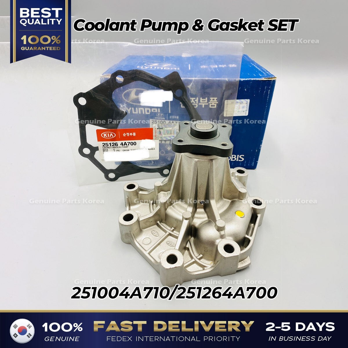 Genuine Coolant Pump & Gasket SET 251004A710 for Hyundai H1