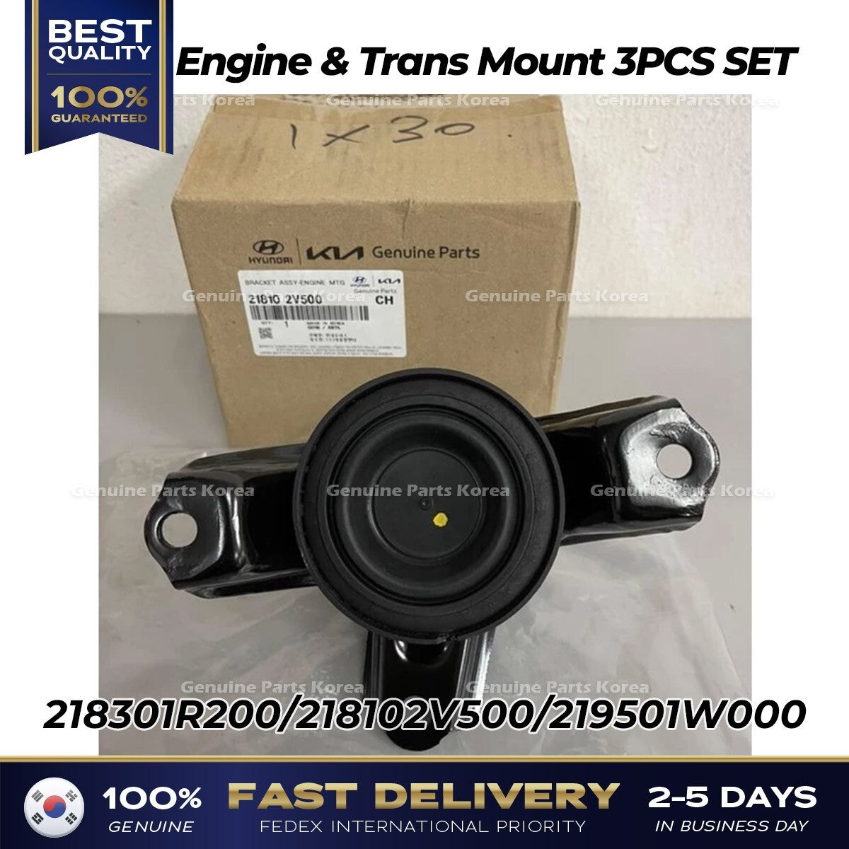 Genuine Engine & Trans Mount 3PCS SET for Hyundai Accent Veloster