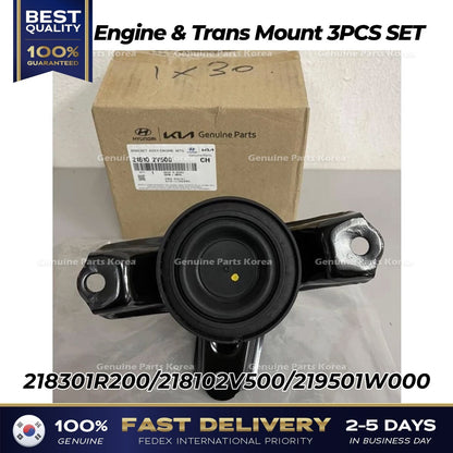Genuine Engine & Trans Mount 3PCS SET for Hyundai Accent Veloster