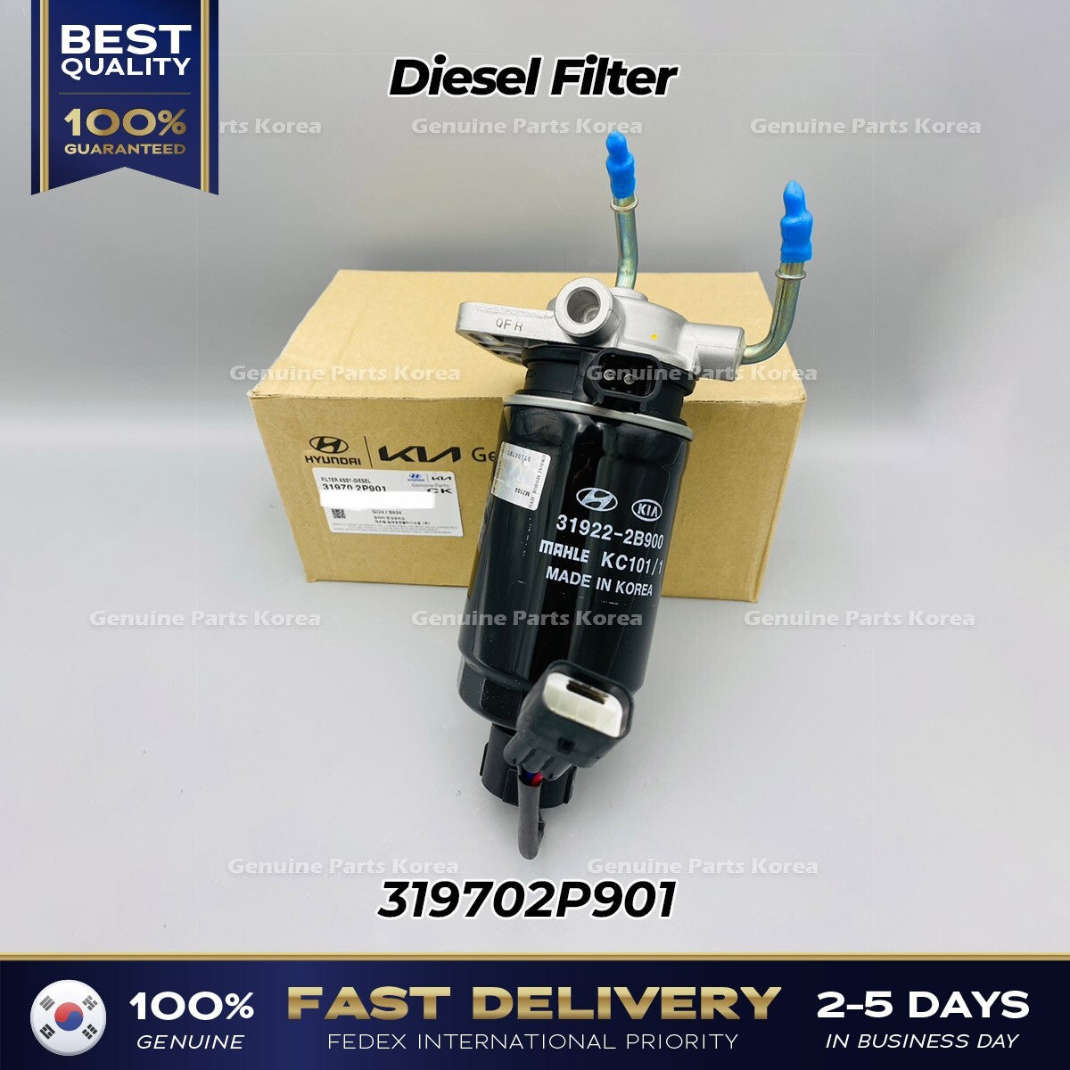 Genuine Diesel Filter 319702P901 for Kia Sorento
