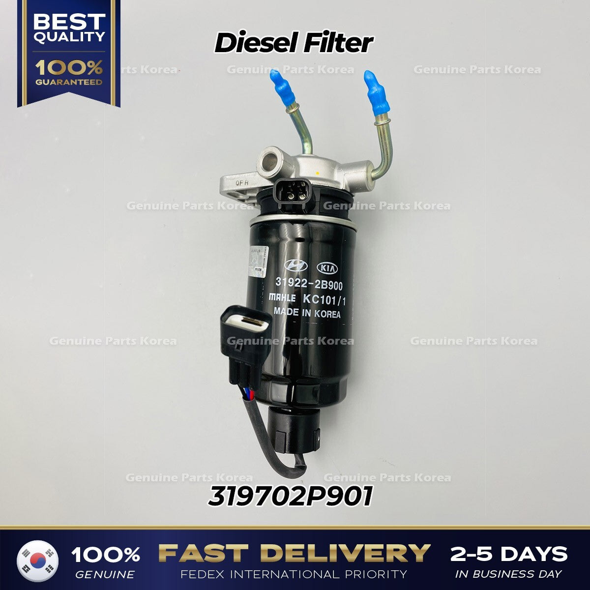 Genuine Diesel Filter 319702P901 for Kia Sorento