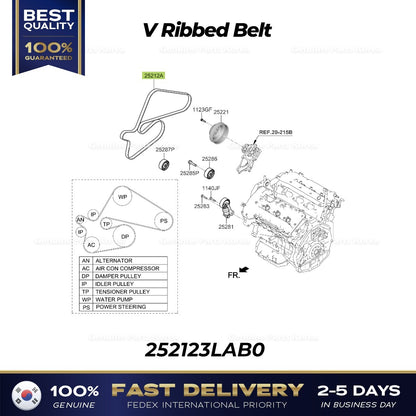 Genuine V Ribbed Belt 252123LAB0 for Kia Sedona