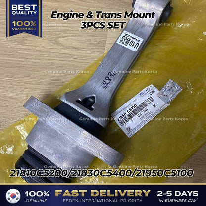 Genuine Engine & Trans Mount 3PCS SET for Kia Sorento