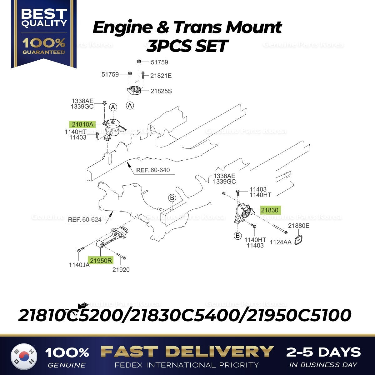 Genuine Engine & Trans Mount 3PCS SET for Kia Sorento
