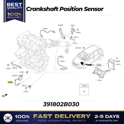 Genuine Crankshaft Position Sensor 391802B030 for Hyundai Elantra Kia Forte