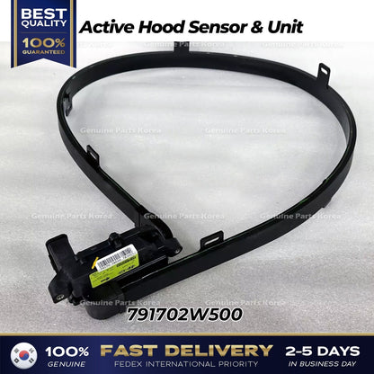 Genuine Active Hood Sensor & Unit 791702W500 for Hyundai Santa Fe
