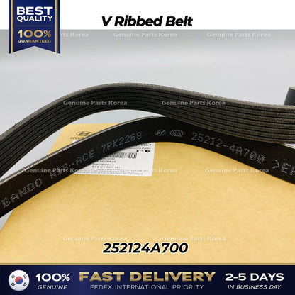 Genuine V Ribbed Belt 252124A700 for Hyundai H1