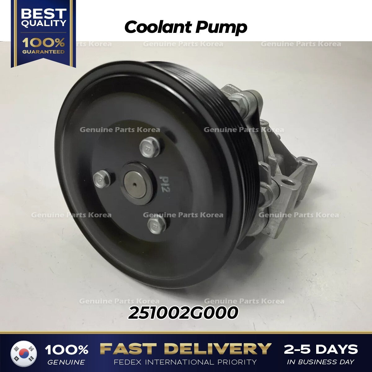 Genuine Coolant Pump 251002G000 for Kia Forte Optima
