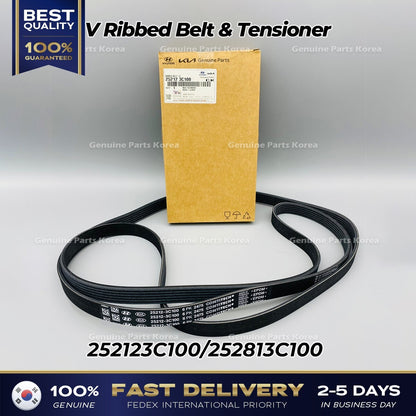 Genuine V Ribbed Belt & Tensioner 252123C100 252813C100 for Hyundai Kia
