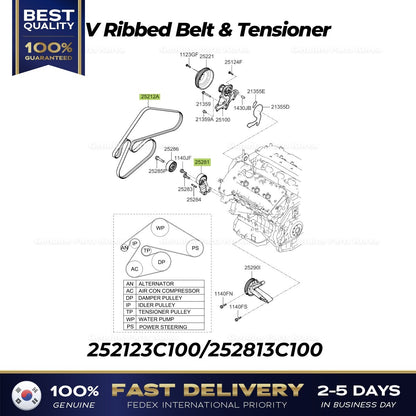 Genuine V Ribbed Belt & Tensioner 252123C100 252813C100 for Hyundai Kia