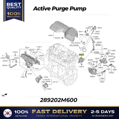 Genuine Active Purge Pump 289202M600 for Hyundai Tucson Kia Sorento