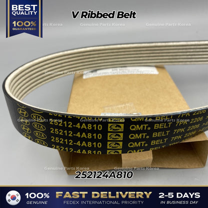 Genuine V Ribbed Belt 252124A810 for Hyundai H100 Porter II