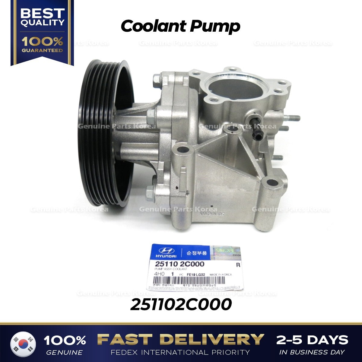 Genuine Coolant Pump 251102C000 for Hyundai H1 Grand Starex