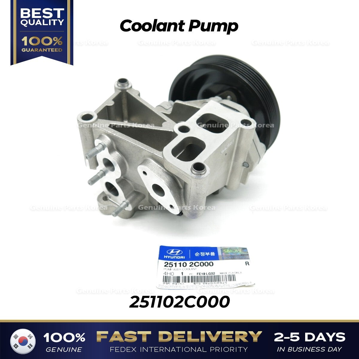 Genuine Coolant Pump 251102C000 for Hyundai H1 Grand Starex
