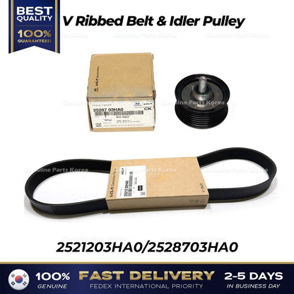 Genuine V Ribbed Belt & Idler Pulley 2521203HA0 2528703HA0 for Hyundai Elantra
