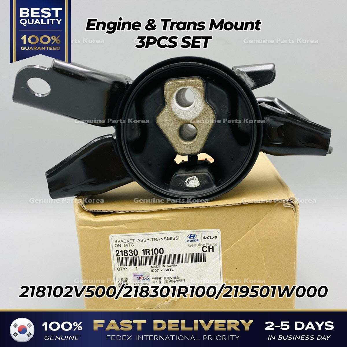 Genuine Engine & Trans Mount 3PCS SET for Hyundai Veloster