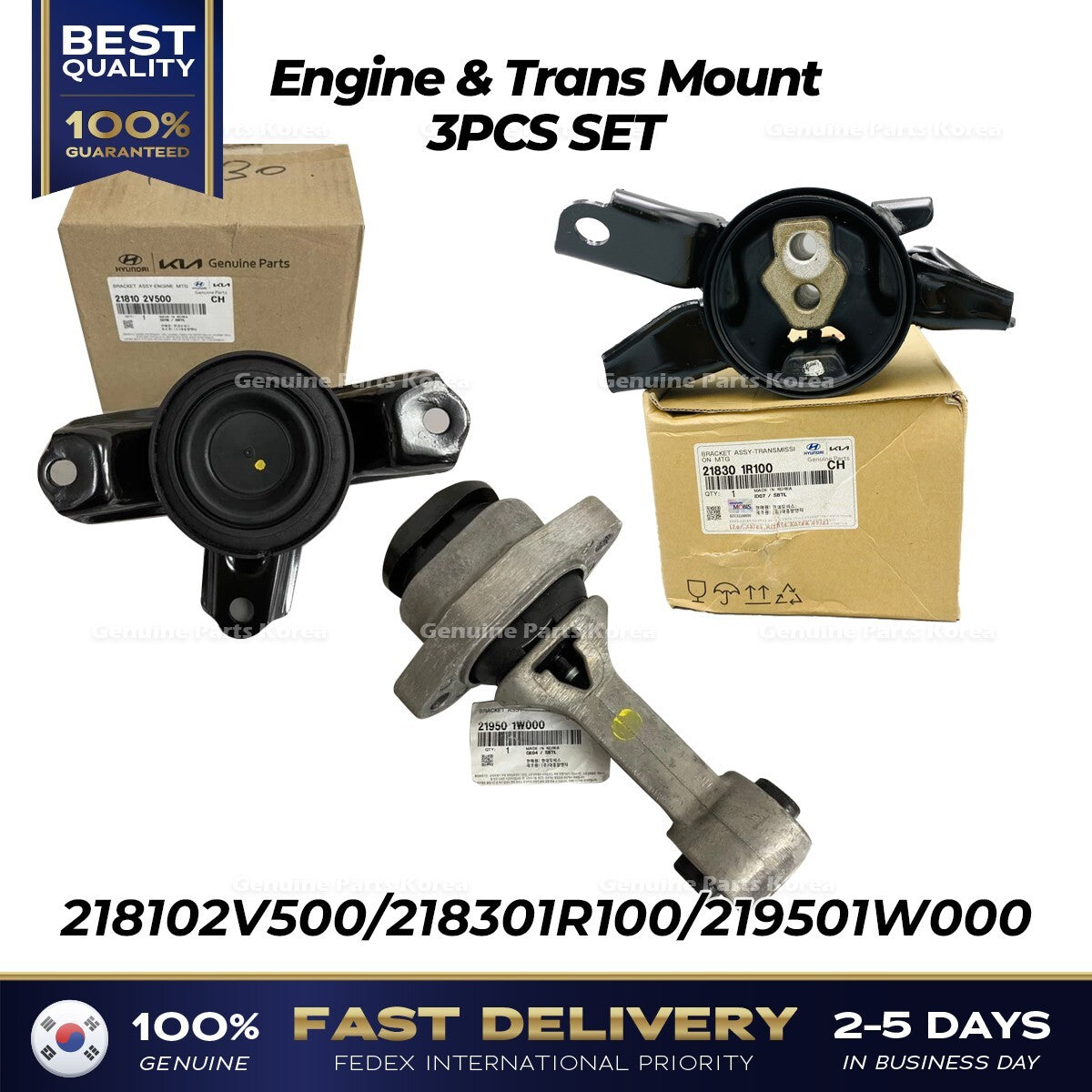 Genuine Engine & Trans Mount 3PCS SET for Hyundai Veloster