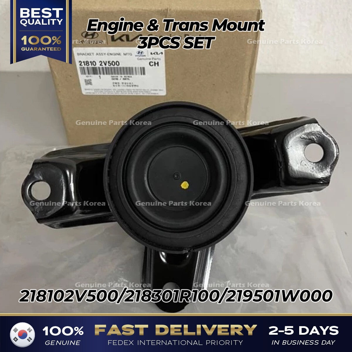 Genuine Engine & Trans Mount 3PCS SET for Hyundai Veloster