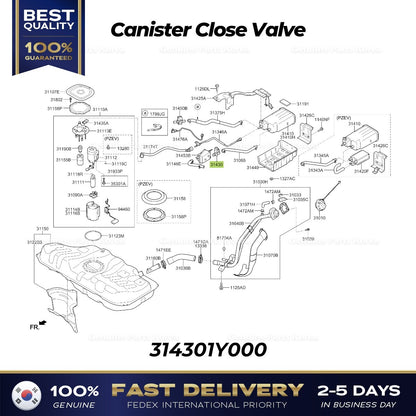 Genuine Canister Close Valve 314301Y000 for Hyundai Elantra Ioniq Kia Forte