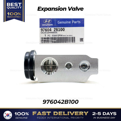 Genuine Expansion Valve 976042B100 for Hyundai Santa Fe Kia Sorento
