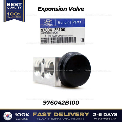 Genuine Expansion Valve 976042B100 for Hyundai Santa Fe Kia Sorento
