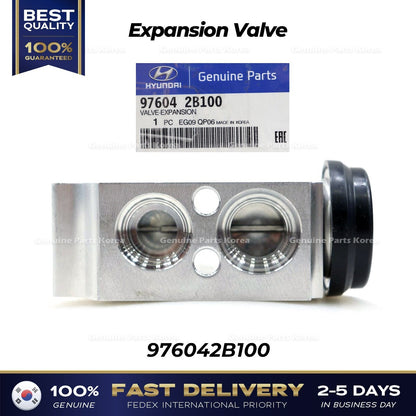 Genuine Expansion Valve 976042B100 for Hyundai Santa Fe Kia Sorento