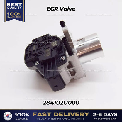 Genuine EGR Valve 284102U000 for Hyundai i30 Kona Tucson