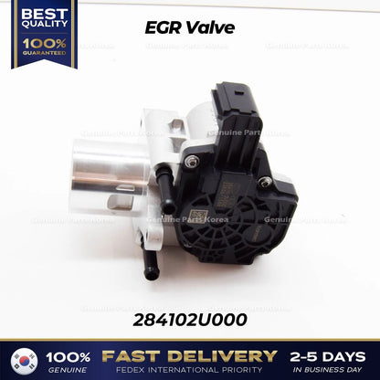 Genuine EGR Valve 284102U000 for Hyundai i30 Kona Tucson
