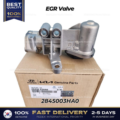 Genuine EGR Valve 2845003HA0 for Hyundai Elantra Kia Niro