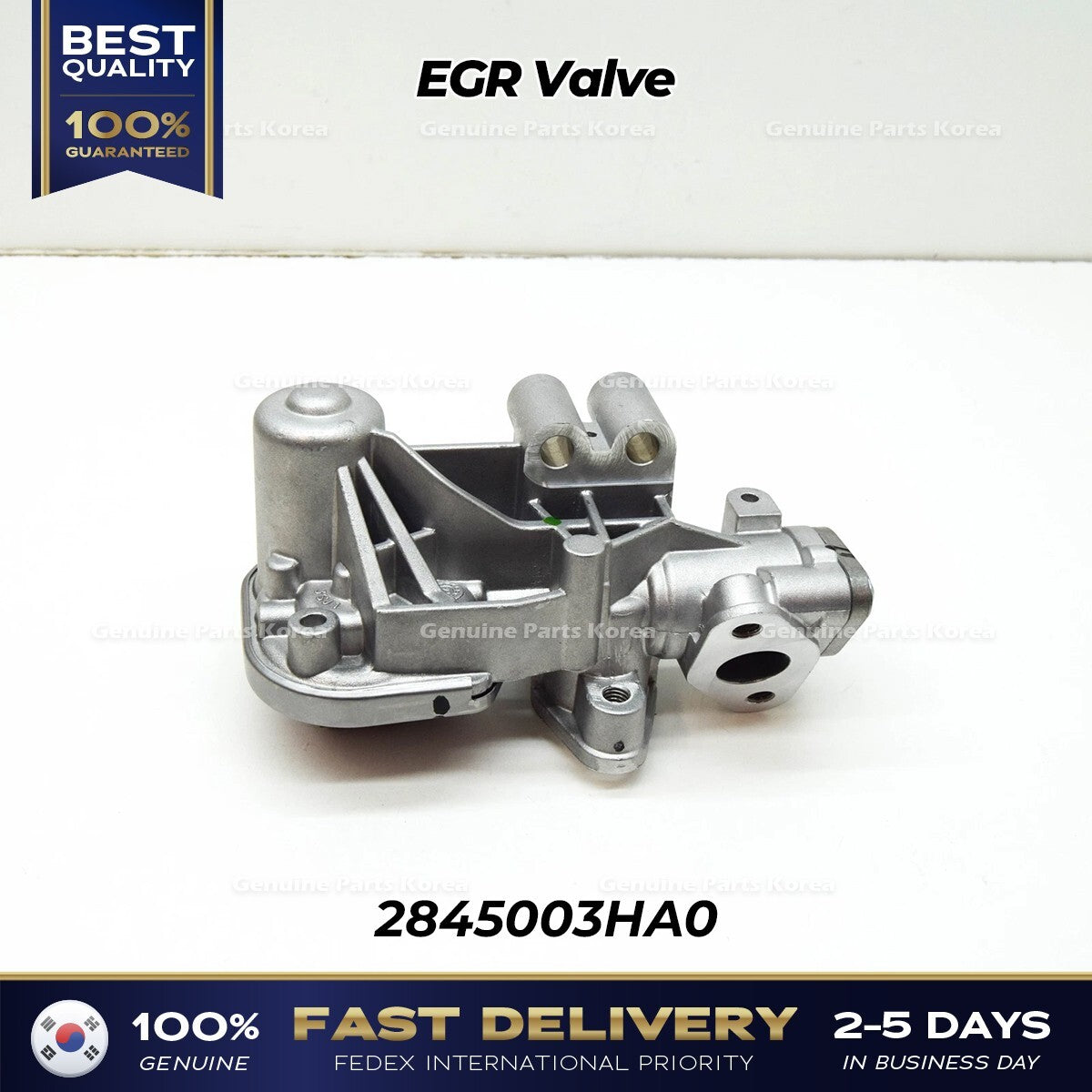 Genuine EGR Valve 2845003HA0 for Hyundai Elantra Kia Niro