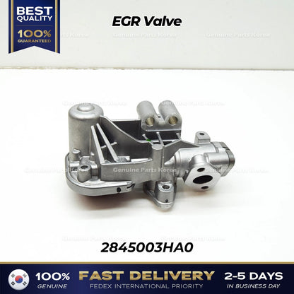Genuine EGR Valve 2845003HA0 for Hyundai Elantra Kia Niro